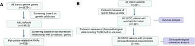 Construction of prognostic signature of patients with oral squamous cell carcinoma based on pyroptosis-related long non-coding RNAs